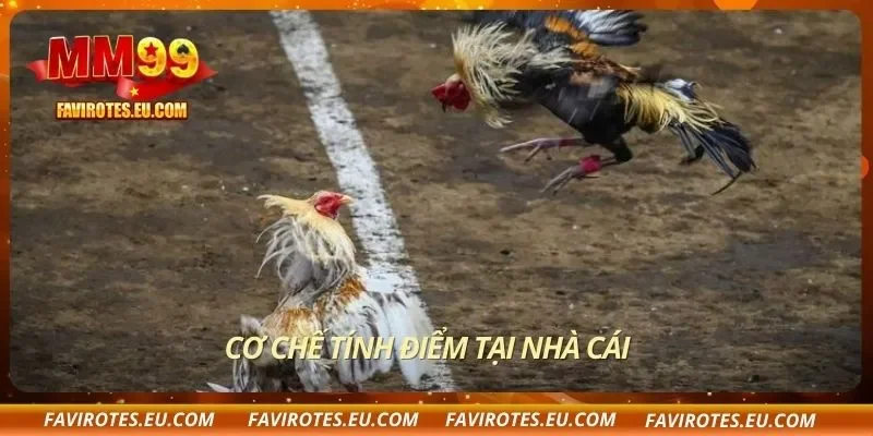 Cơ chế tính điểm tại nhà cái