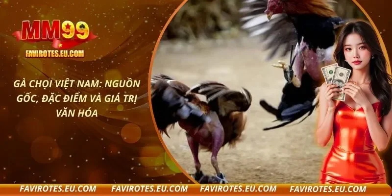 Gà Chọi Việt Nam: Nguồn Gốc, Đặc Điểm Và Giá Trị Văn Hóa